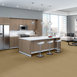 BAYTOWNE-III-30-J0064-BISCOTTI-65115-room-image