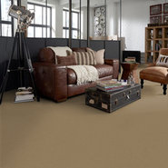 BAYTOWNE-III-30-J0064-PRAIRIE-65144-room-image