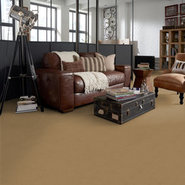 BAYTOWNE-III-30-J0064-CAMEL-65147-room-image