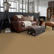 BAYTOWNE-III-30-J0064-CAMEL-65147-room-image