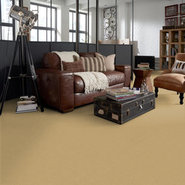 BAYTOWNE-III-30-J0064-CORN-SILK-65148-room-image