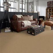 BAYTOWNE-III-30-J0064-NACHO-65151-room-image