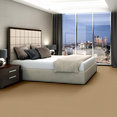BAYTOWNE-III-30-J0064-HONEY-TONE-65155-room-image