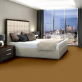 BAYTOWNE-III-30-J0064-HARVEST-MOON-65240-room-image