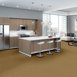 BAYTOWNE-III-30-J0064-SUEDE-GOLD-65243-room-image