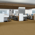 BAYTOWNE-III-30-J0064-SUEDE-GOLD-65243-room-image
