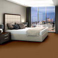 BAYTOWNE-III-30-J0064-TOAST-65291-room-image