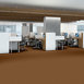 BAYTOWNE-III-30-J0064-TOAST-65291-room-image