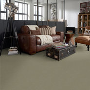 BAYTOWNE-III-30-J0064-KIWI-ICE-65322-room-image
