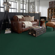 BAYTOWNE-III-30-J0064-VALLEY-GREEN-65343-room-image