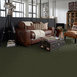 BAYTOWNE-III-30-J0064-MEADOW-65350-room-image