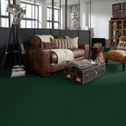 BAYTOWNE-III-30-J0064-HEDGE-GREEN-65366-room-image