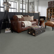 BAYTOWNE-III-30-J0064-ASH-65543-room-image