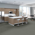 BAYTOWNE-III-30-J0064-ASH-65543-room-image