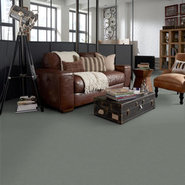BAYTOWNE-III-30-J0064-FLANNEL-65544-room-image