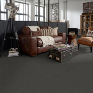 BAYTOWNE-III-30-J0064-CINDERS-65583-room-image
