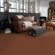 BAYTOWNE-III-30-J0064-ALLSPICE-65620-room-image