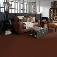 BAYTOWNE-III-30-J0064-CANYON-DUST-65708-room-image