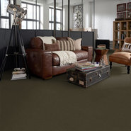BAYTOWNE-III-30-J0064-MARSH-65710-room-image