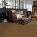BAYTOWNE-III-30-J0064-AMBER-TAN-65721-room-image