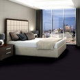 BAYTOWNE-III-30-J0064-DEEP-AMETHYST-65940-room-image