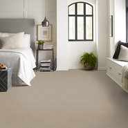 BAYTOWNE-III-36-J0065-SHELL-65142-room-image