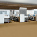 BAYTOWNE-III-36-J0065-CAMEL-65147-room-image