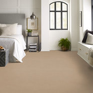 BAYTOWNE-III-36-J0065-NACHO-65151-room-image