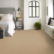 BAYTOWNE-III-36-J0065-HONEY-TONE-65155-room-image