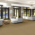 BAYTOWNE-III-36-J0065-TUSCAN-GOLD-65191-room-image