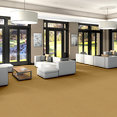 BAYTOWNE-III-36-J0065-TUSCAN-SUN-65222-room-image