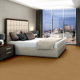 BAYTOWNE-III-36-J0065-HARVEST-MOON-65240-room-image