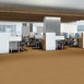 BAYTOWNE-III-36-J0065-HARVEST-MOON-65240-room-image