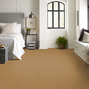 BAYTOWNE-III-36-J0065-HARVEST-MOON-65240-room-image