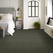 BAYTOWNE-III-36-J0065-PALM-BREEZE-65314-room-image