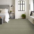 BAYTOWNE-III-36-J0065-KIWI-ICE-65322-room-image
