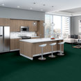 BAYTOWNE-III-36-J0065-VALLEY-GREEN-65343-room-image