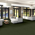 BAYTOWNE-III-36-J0065-MEADOW-65350-room-image
