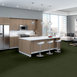BAYTOWNE-III-36-J0065-MEADOW-65350-room-image