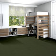 BAYTOWNE-III-36-J0065-MEADOW-65350-room-image