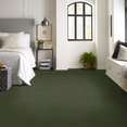 BAYTOWNE-III-36-J0065-MEADOW-65350-room-image