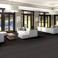 BAYTOWNE-III-36-J0065-CINDERS-65583-room-image