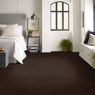 BAYTOWNE-III-36-J0065-ROOT-BEER-65724-room-image