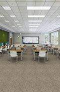 NO-LIMITS-26-J0069-BOUNDARIES-69200-room-image