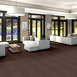 NO-LIMITS-26-J0069-DYNAMIC-69600-room-image