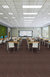 NO-LIMITS-26-J0069-DYNAMIC-69600-room-image