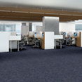 NO-LIMITS-TILE-J0108-EVERLASTING-69401-room-image