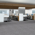 NO-LIMITS-TILE-J0108-FREEDOM-69501-room-image