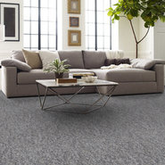 NO-LIMITS-TILE-J0108-FREEDOM-69501-room-image