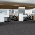 NO-LIMITS-TILE-J0108-WILD-CARD-69502-room-image